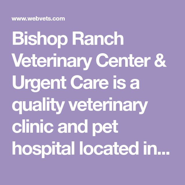 Ranch Veterinary Center & Urgent Care is a quality veterinary Ranch Veterinary Center & Urgent Care is a quality veterinary