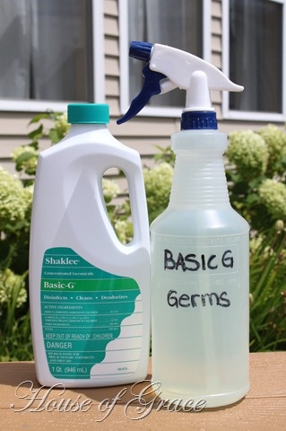 house cleaning techniques