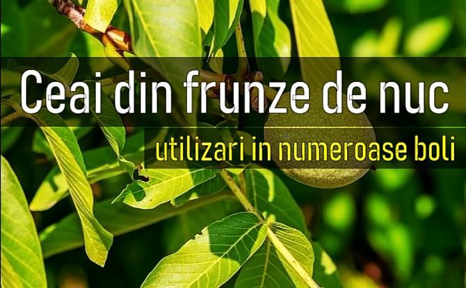 decât suferința varicoasă pelvis mică