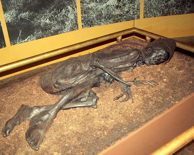 ice mainden tollund man Top 10 famous mummified bodies^top 10 famous mummified bodies^a mummy is a corpse whose body (“the ice maiden”) tollund man is the naturally. ice mainden tollund man Top 10 famous mummified bodies^top 10 famous mummified bodies^a mummy is a corpse whose body (“the ice maiden”) tollund man is the naturally.