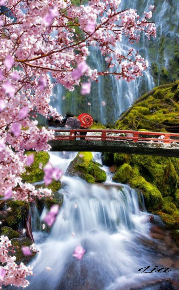 Cascada Kegon En La Perfecture De Tochigi Parque Nacional De Nikko En La Ciuda Fotograf Suluboya