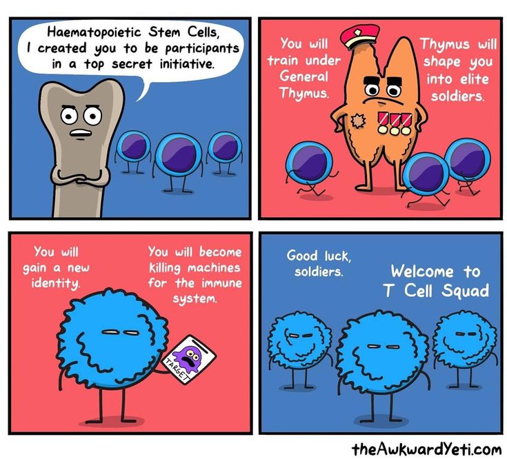 30 Cute Comics From The Awkward Yeti | Awkward yeti, Funny comics