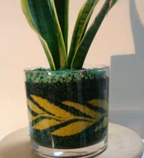 127 Best SAND ART TERRARIUMS Images On Pinterest Terrarium Ideas 127 best SAND ART TERRARIUMS images on Pinterest | Terrarium ideas, Plants and Sand art - 127 Best SAND ART TERRARIUMS Images On Pinterest Terrarium Ideas