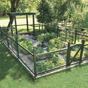 Vegetable Garden Fence Design 57 best vegetable garden ideas images on pinterest | garden ideas Vegetable Garden Fence Design 57 best vegetable garden ideas images on pinterest | garden ideas