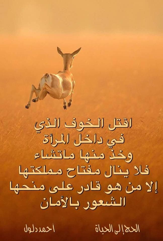 اقتل الخوف الذي في داخل المرأة وخذ منها ما تشاء فلا ينال مفتاح مملكتها إلا