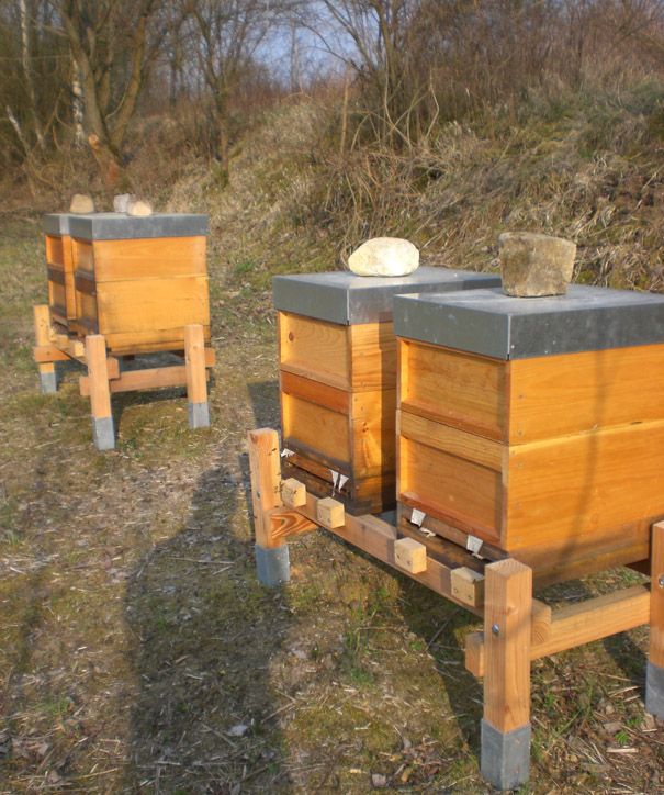 Bienenstock Im Garten Aufstellen Bienen, Bienenhaltung, Imker