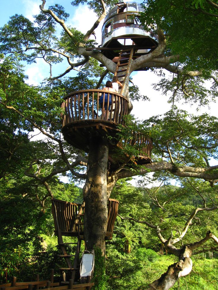 Circular Tree House best 25+ cool tree houses ideas on pinterest | tropical outdoor Circular Tree House best 25+ cool tree houses ideas on pinterest | tropical outdoor