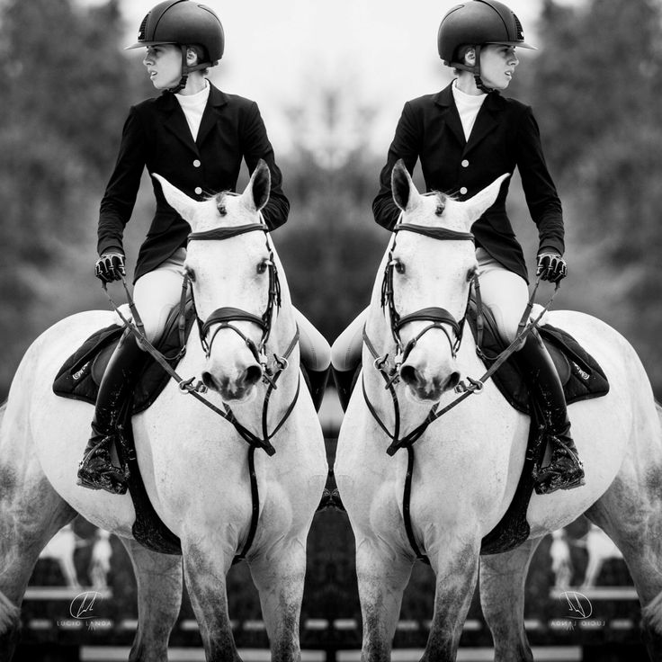 The Best Equestrian Jumping Riding Shoes The Best Equestrian Jumping Riding Shoes