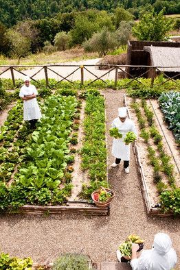 221 best kitchen garden images on pinterest | veggie gardens 221 best kitchen garden images on pinterest | veggie gardens