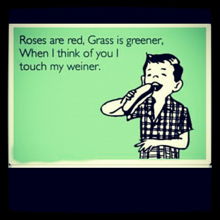 So Wrong So Wrong So Wrong But Funny So Wrong So Wrong So Wrong But Funny