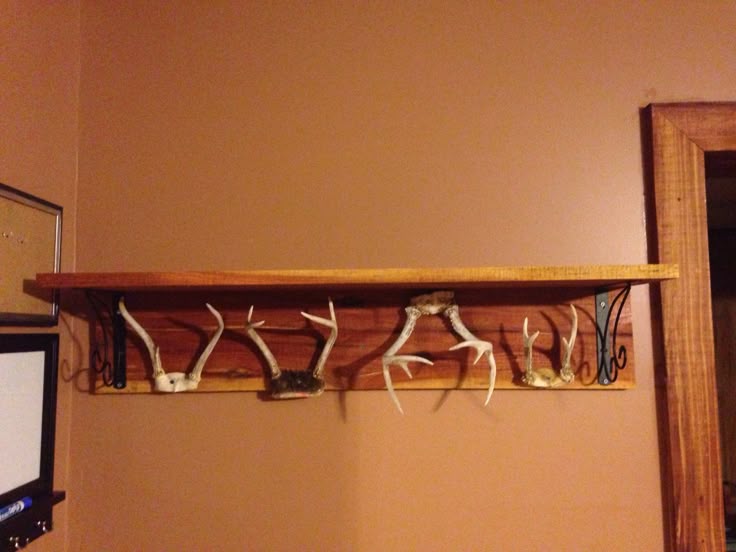 Deer Antler Coat Rack Now I Know What To Do With All Those Extra Horns Laying Around The Garage Diy Antlers Decor Deer Antler Coat Rack Now I Know What, Outdoor Themed Coat Racks