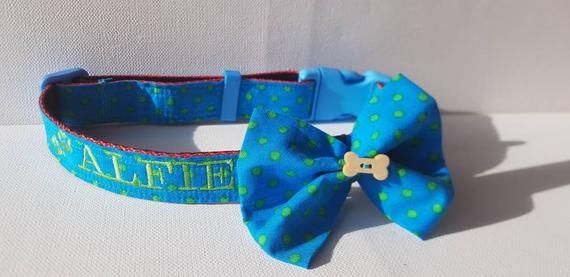 Teal Polkadot Over The Collar Bandana