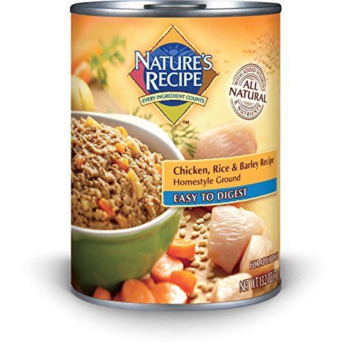 Nature S Recipe Canned Dog Food For Adult Dog Easy To Digest