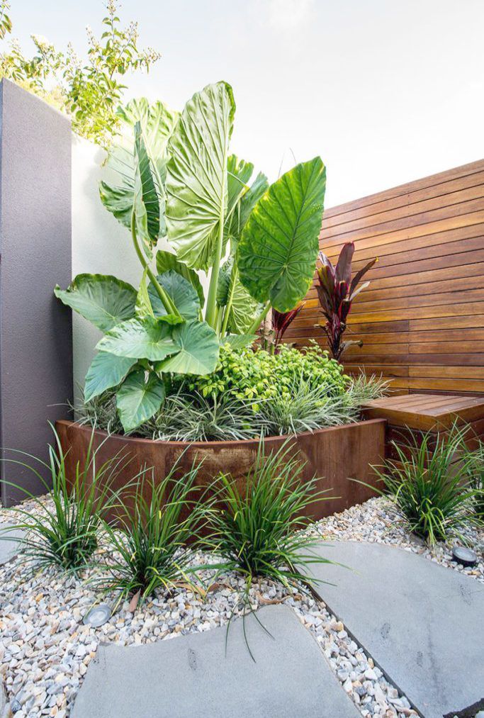 Landscape Designs Zone 6 Plans Ysis In 2019 Landscape Designs Zone 6