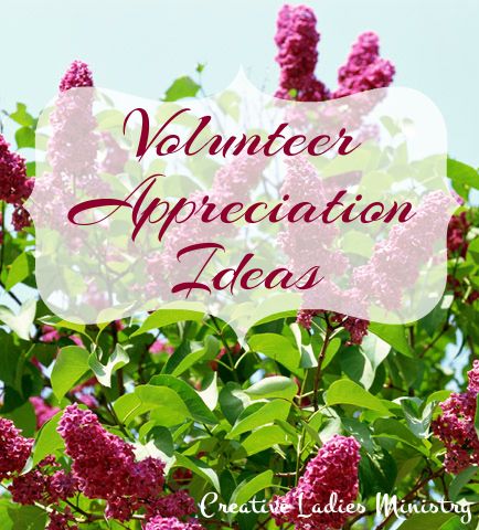 Garden Club Speaker Ideas garden club Volunteer Appreciation Ideas Volunteer Theme Ideas As Well As Ideas For The Speaker Devo Garden Club Speaker Ideas sutton garden club Volunteer Appreciation Ideas Volunteer Theme Ideas As Well As Ideas For The Speaker Devo