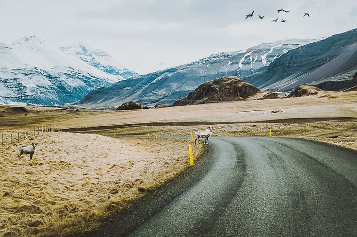 iceland trips iceland trips