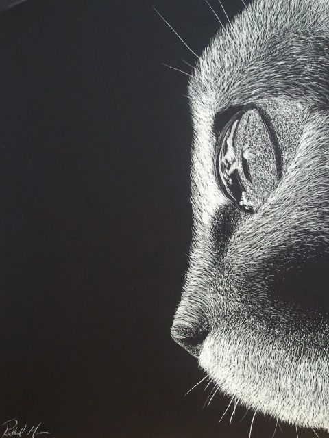 Scratch art cat by a hrefhttp foxyrm tumblr com Scratch art cat by a hrefhttp foxyrm tumblr com