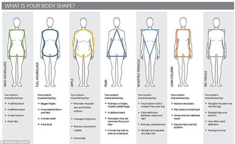 medium body type women