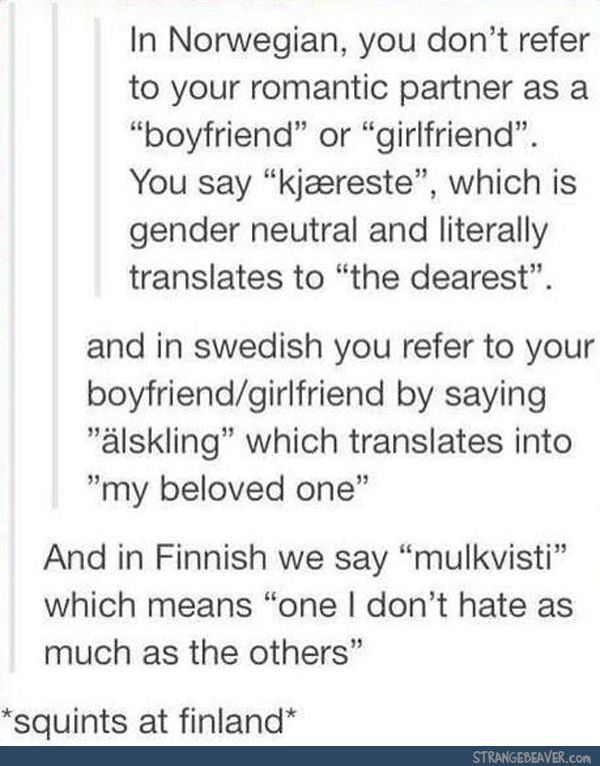 funny tumblr comment And in Japan we say Kare(boyfriend)/kanojyo(girlfriend) wh...
