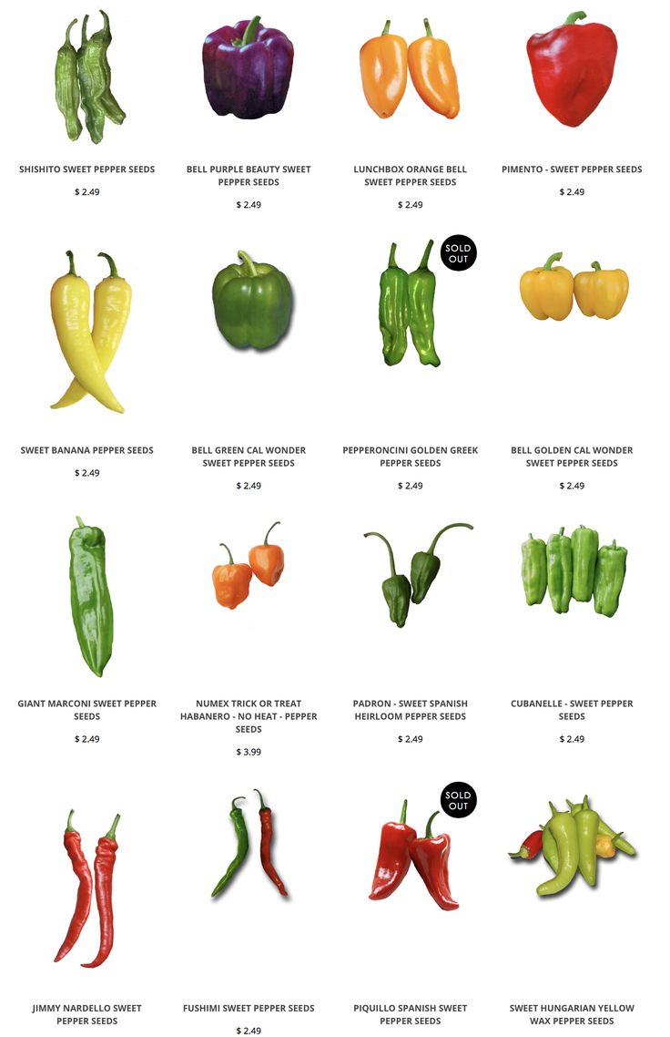 Sweet Pepper Seeds Stuffed peppers, Stuffed sweet Sweet Pepper Seeds Stuffed peppers, Stuffed sweet