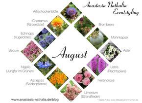 August Blumen Des Monats Anastasia Nathalia Eventstyling August Blumen Blumen Juni Hochzeit Blumen August Hochzeit
