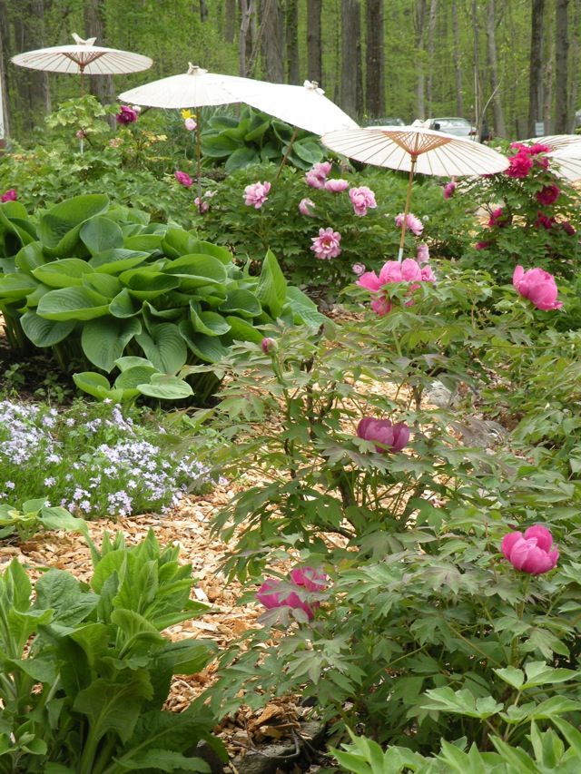 Garden Design On A Hill best 25+ hill garden ideas on pinterest | sloping garden, sloped Garden Design On A Hill best 25+ hill garden ideas on pinterest | sloping garden, sloped