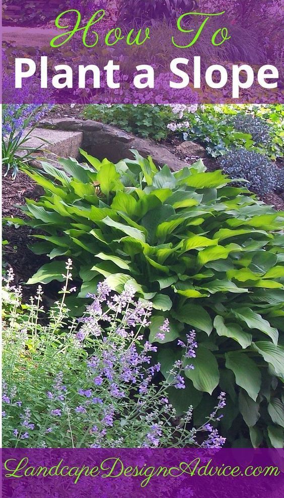 Flower Garden Ideas Sloping top 25+ best landscaping a hill ideas on pinterest | sloped yard Flower Garden Ideas Sloping top 25+ best landscaping a hill ideas on pinterest | sloped yard