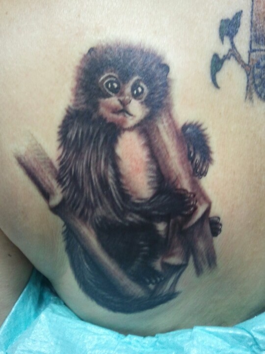 123 best monkey tattoos images on pinterest best friends 123 best monkey tattoos images on pinterest best friends