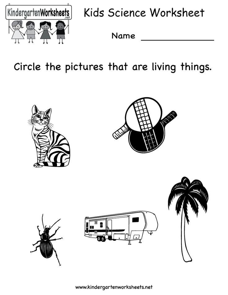 pin on kids science craft