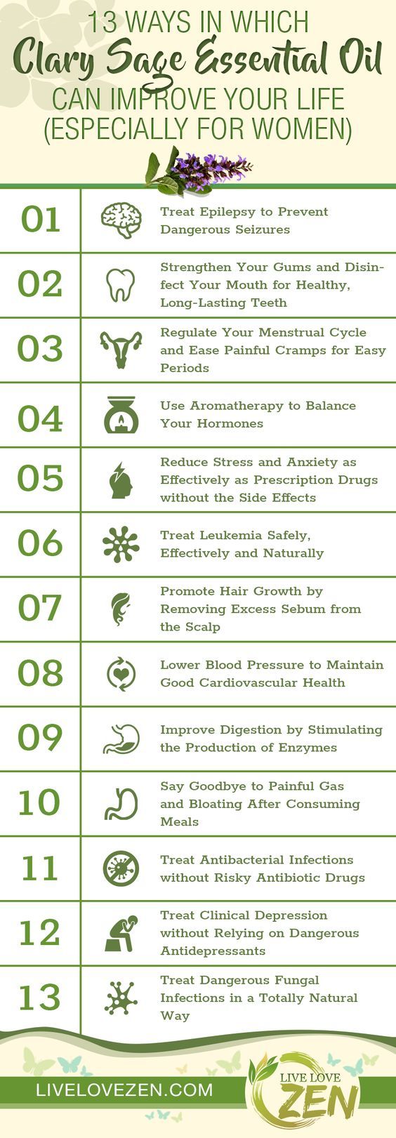 Hypotension: treatment with folk remedies. Decoctions of herbs under reduced pressure. Folk recipes Hypotension: treatment with folk remedies. Decoctions of herbs under reduced pressure. Folk recipes