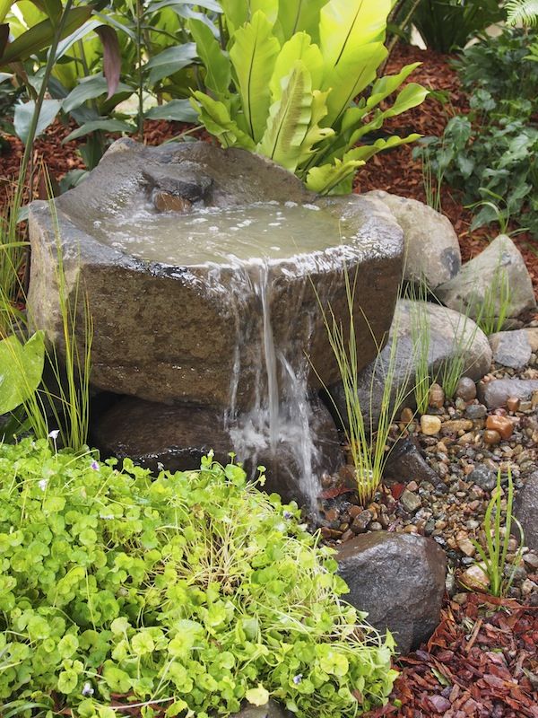 best 25+ small water gardens ideas on pinterest | small water best 25+ small water gardens ideas on pinterest | small water