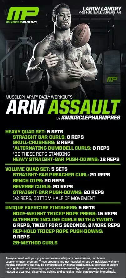 9 best Biceps \ Triceps images on Pinterest Exercise routines - fresh arnold blueprint day 19 9 best Biceps \ Triceps images on Pinterest Exercise routines - fresh arnold blueprint day 19