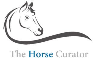 Pin on Horse Anatomy
