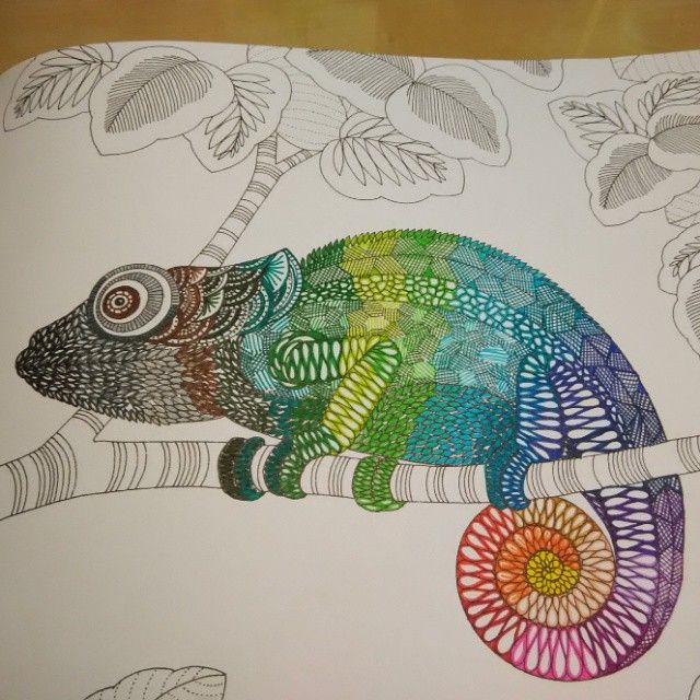 Milliemarotta Animalkingdom Chameleon Adult ColoringColoring BooksColouringAnimal KingdomChameleonsSharpie ProjectsJoanna BasfordColored Pencil