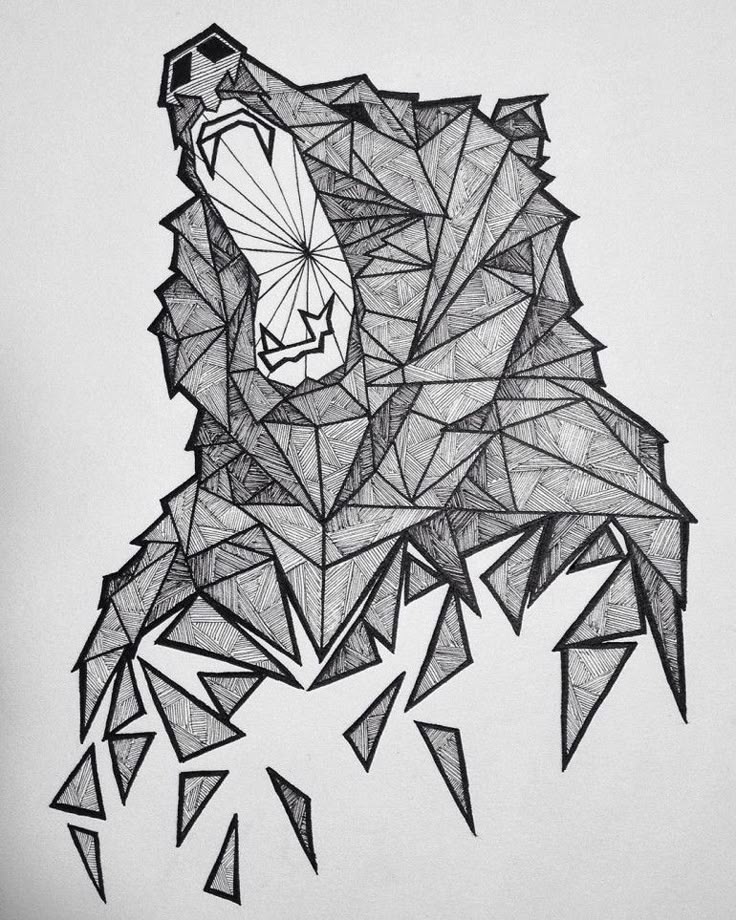 25 beautiful bear sketch ideas on pinterest bear 25 beautiful bear sketch ideas on pinterest bear