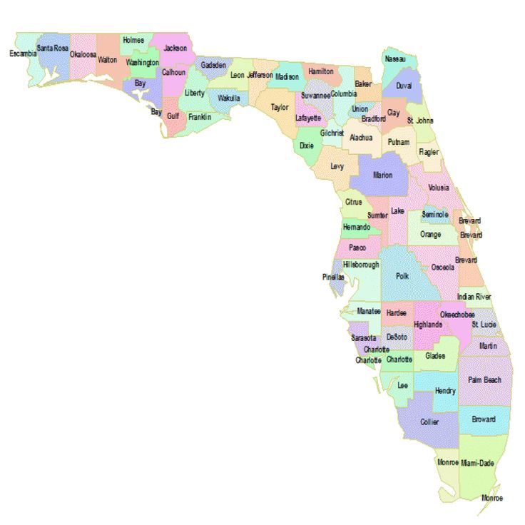 This is a picture of Slobbery Florida County Map Printable This is a photo of Slobbery Florida County Map Printable