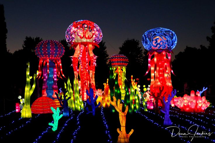 The Best 10 Pics Daniel Stowe Botanical Garden Christmas Lights Review And Description Garden Christmas Botanical Gardens Garden