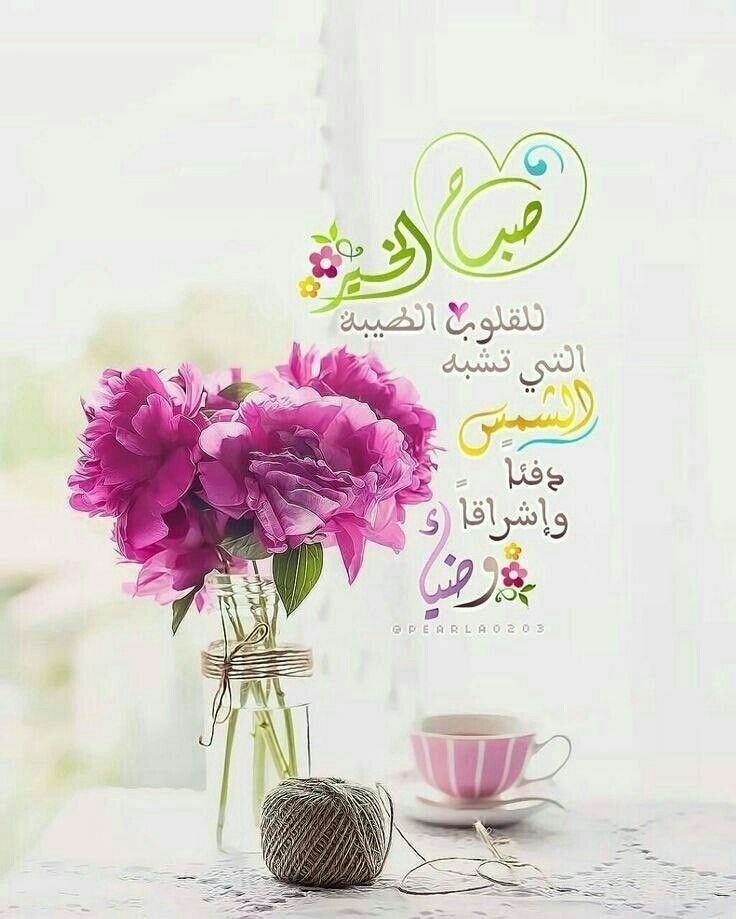 Pin By Mohamed Nasurulla On الصباح والمساء Beautiful Morning Messages Morning Greeting Morning Greetings Quotes