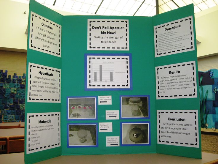 science fair projects posters