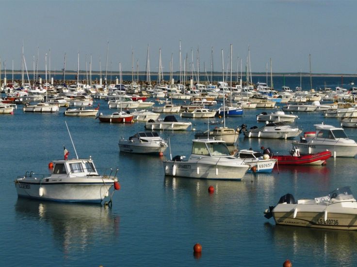 388 best Vendee images on Pinterest North sea, Paisajes and France - chambre d hote moutiers les mauxfaits 388 best Vendee images on Pinterest North sea, Paisajes and France - chambre d hote moutiers les mauxfaits