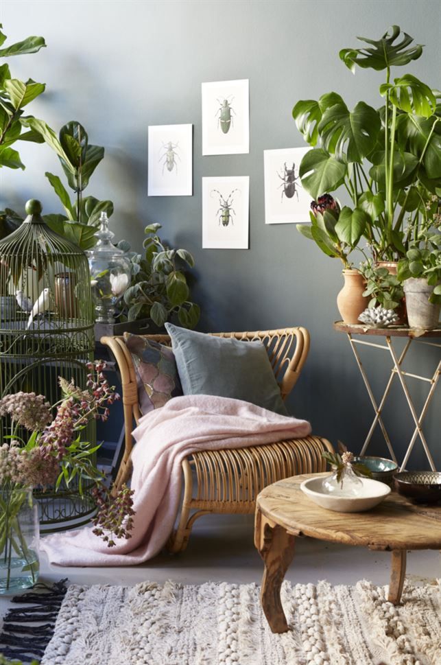 Living Room Jungle best 25+ jungle room ideas on pinterest | boys jungle bedroom Living Room Jungle best 25+ jungle room ideas on pinterest | boys jungle bedroom