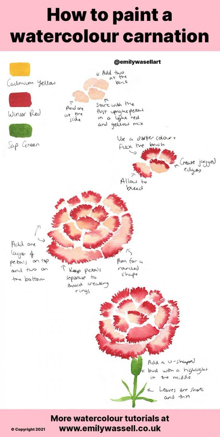 How To Paint A Watercolour Carnation how-to-paint-a-watercolour-carnation