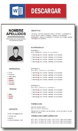 formato curriculum chile