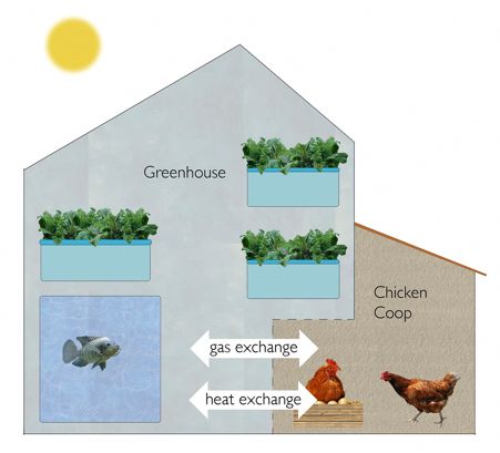 Aquaponics profit per square foot Upward plans to open a 250,000-square-foot vertical farm in PA early next year