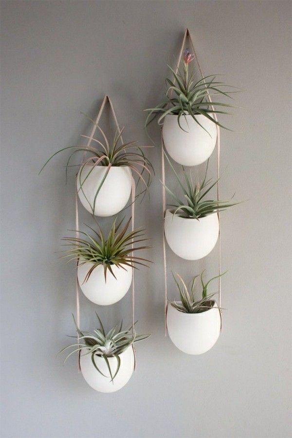144 best Déco Mur Végétal images on Pinterest Gardening, Vegetable - faire un mur vegetal exterieur soi meme 144 best Déco Mur Végétal images on Pinterest Gardening, Vegetable - faire un mur vegetal exterieur soi meme