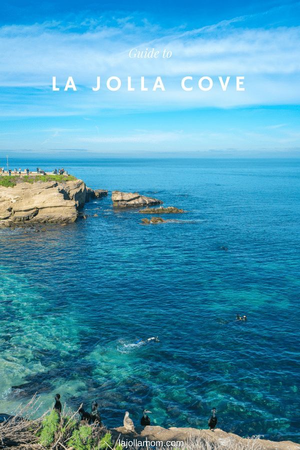 How To Spend A Day At La Jolla Cove California Travel Pinterest Things To Do At La Jolla Cove From Snorkeling Best Restaurants Lajollamom Travel Lajolla California