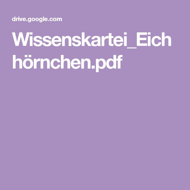 Eichhörnchen Spanisch Eichhörnchen Spanisch
