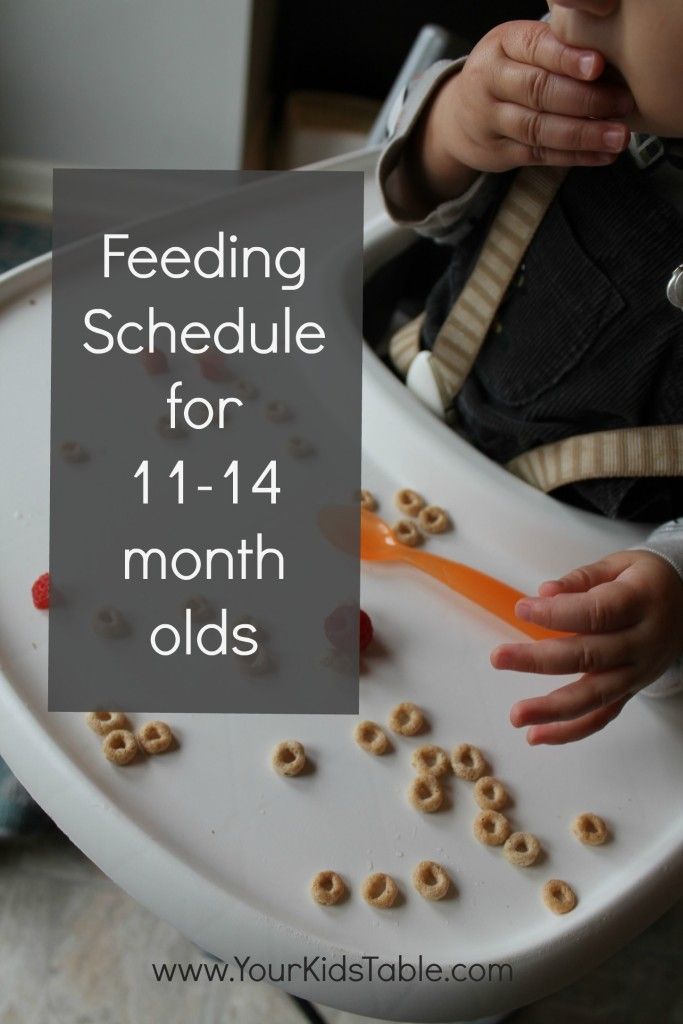 Best 25+ Baby food schedule ideas on Pinterest Baby chart, Baby - baby feeding chart Best 25+ Baby food schedule ideas on Pinterest Baby chart, Baby - baby feeding chart