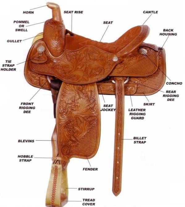 Labeled Western Saddle | Tack Badge | Pinterest | Western saddles