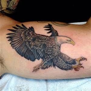 44 best tatouage aigle images on pinterest artists colours and 44 best tatouage aigle images on pinterest artists colours and